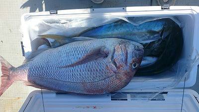 海龍丸(福岡) 釣果