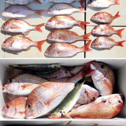 来温丸（らいおんまる） 釣果