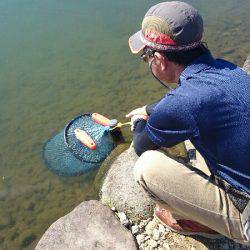 みどりフィッシングエリア 釣果