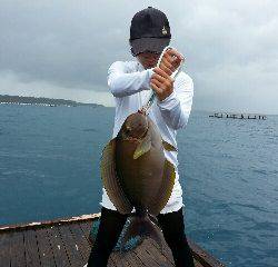 本部釣りイカダ 釣果
