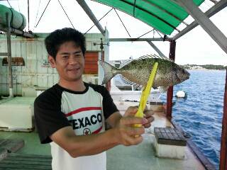 本部釣りイカダ 釣果