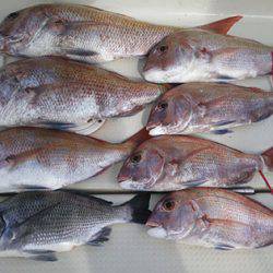 松本釣船2 釣果