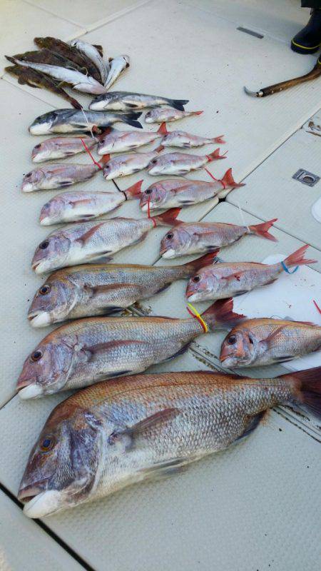 オーフリー 釣果