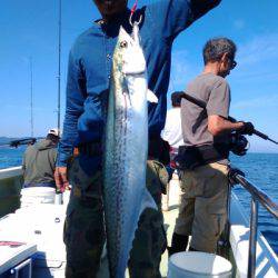 はま丸 釣果