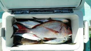 長栄丸(静岡) 釣果