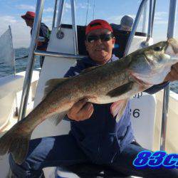 オーシャンマスター 釣果