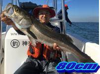 オーシャンマスター 釣果