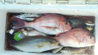 長栄丸(静岡) 釣果