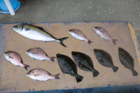 松名瀬フィッシングパーク 釣果