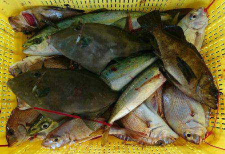 明神釣船 釣果