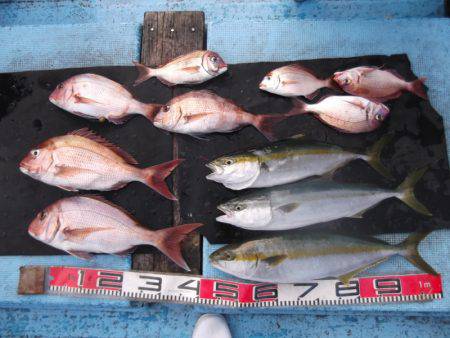 海宝丸 釣果