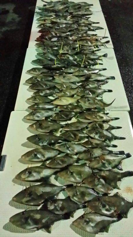 オーフリー 釣果