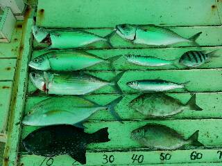 本部釣りイカダ 釣果