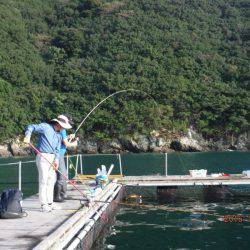 フィッシングパーク錦 釣果