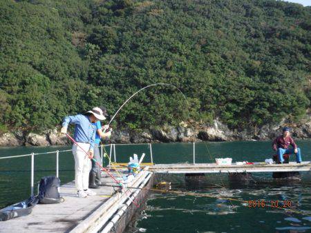 フィッシングパーク錦 釣果