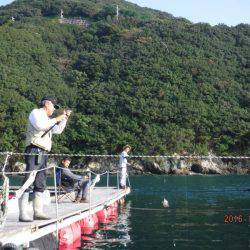 フィッシングパーク錦 釣果