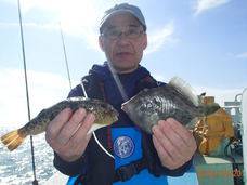 七福丸 釣果