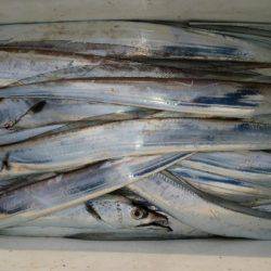 オーフリー 釣果