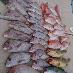 旭星釣りセンター 釣果