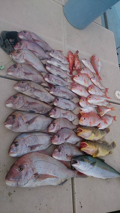 旭星釣りセンター 釣果