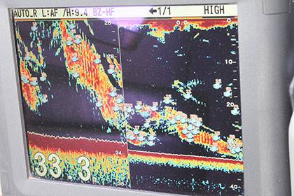 松本釣船２ 釣果