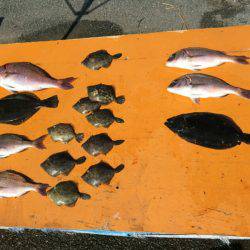 フィッシングパーク錦 釣果