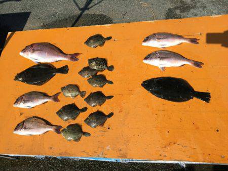 フィッシングパーク錦 釣果