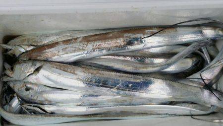 オーフリー 釣果