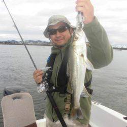 ルアー船マヒマヒ 釣果