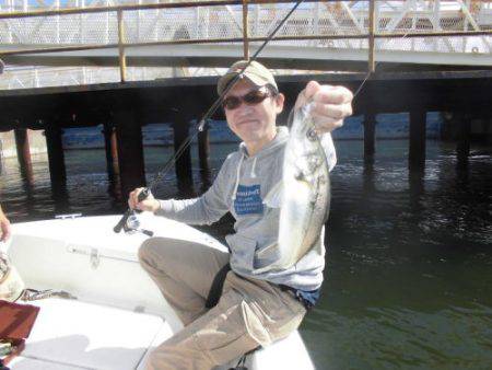 ルアー船マヒマヒ 釣果