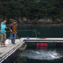 松名瀬フィッシングパーク 釣果