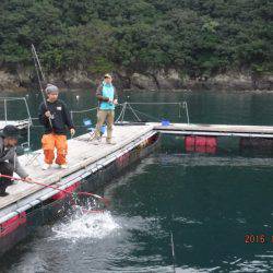 松名瀬フィッシングパーク 釣果
