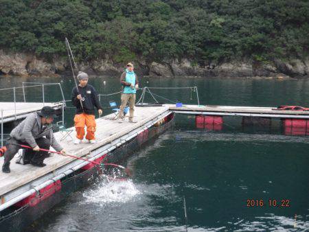 松名瀬フィッシングパーク 釣果