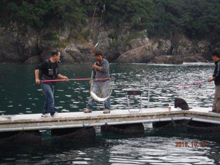 松名瀬フィッシングパーク 釣果