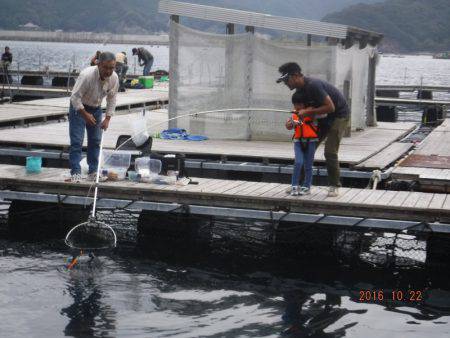 松名瀬フィッシングパーク 釣果