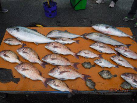 松名瀬フィッシングパーク 釣果