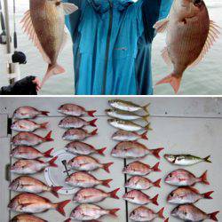 来温丸（らいおんまる） 釣果