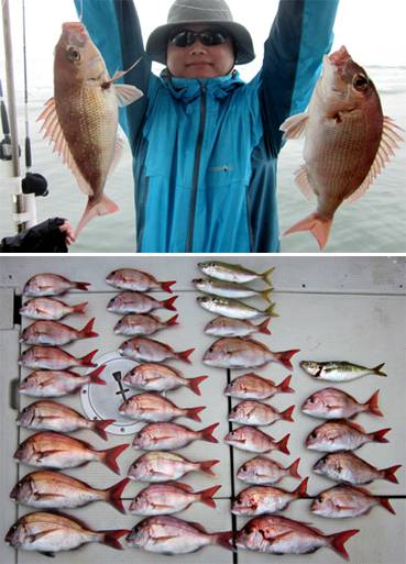 来温丸（らいおんまる） 釣果