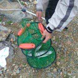 みどりフィッシングエリア 釣果