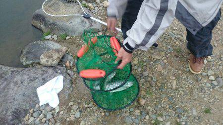 みどりフィッシングエリア 釣果