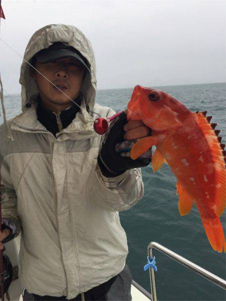 マタウマリンサービス 釣果