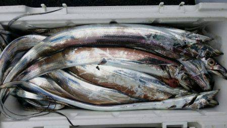 オーフリー 釣果