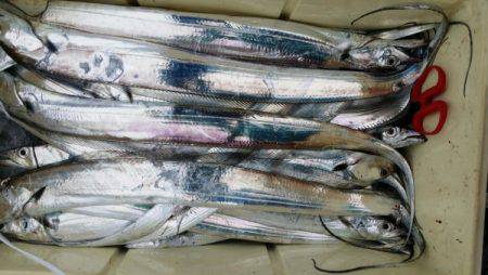 オーフリー 釣果