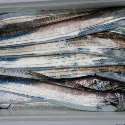 オーフリー 釣果