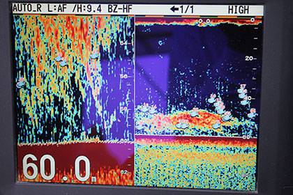 松本釣船2 釣果