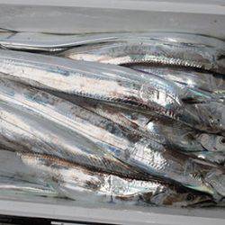 松本釣船2 釣果