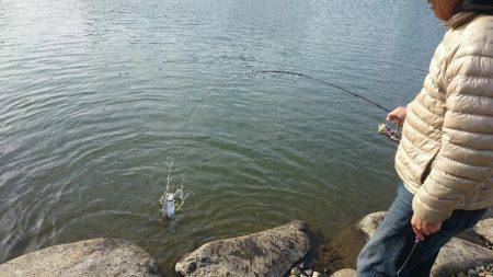 みどりフィッシングエリア 釣果