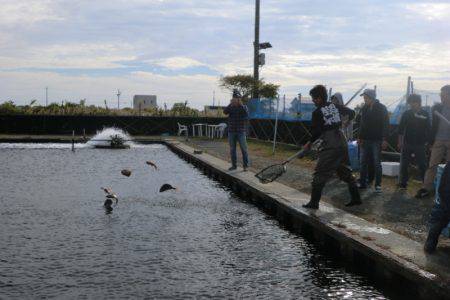 松名瀬フィッシングパーク 釣果