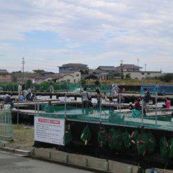 松名瀬フィッシングパーク 釣果