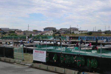 松名瀬フィッシングパーク 釣果